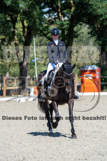 Kronenberg - De Peelbergen (August 2020)