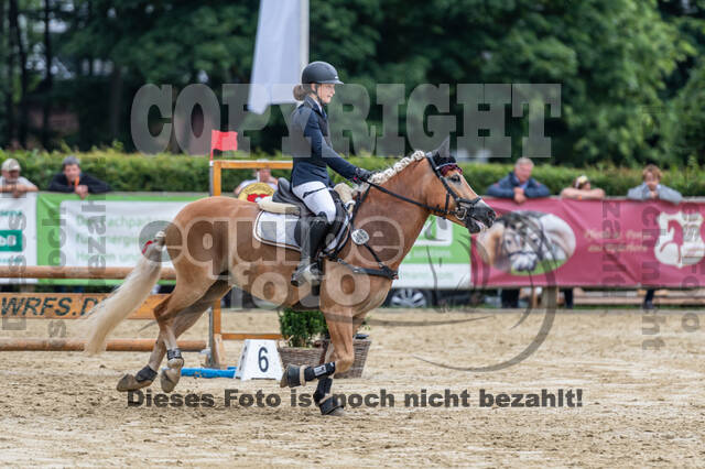 Goldene Schärpe 2021 - Ponys