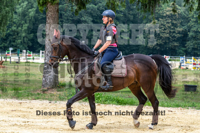 Hunter Geländetraining 10.07.2021 (Sonsbeck)
