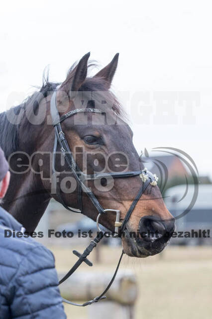 Geländetraining RSV St. Hubertus Wesel Obrighoven