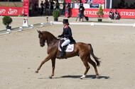 FEI European Championship Eventing 2017