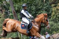 De Peelbergen (August 2020)