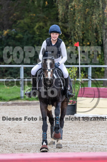 Goldene Schärpe 2020 - Pferde