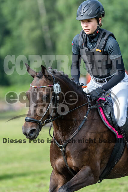 Goldene Schärpe 2021 - Ponys