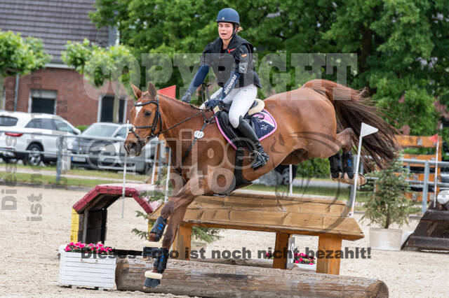 Late-Entry-Vielseitigkeit Langenfeld (11.+13./14.06.2020)