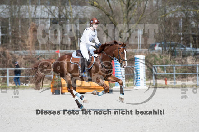 Eventing Langenfeld 2018