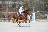 Eventing Langenfeld 2018