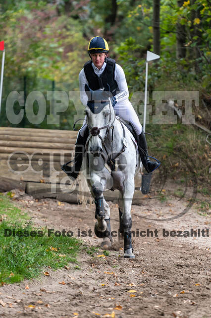 Goldene Schärpe 2020 - Pferde