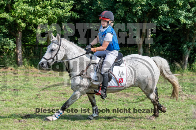 Goldene Schärpe 2021 - Ponys