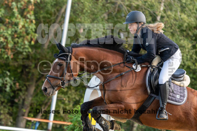 RFV Dinslaken-Hiesfeld (Herbstturnier)