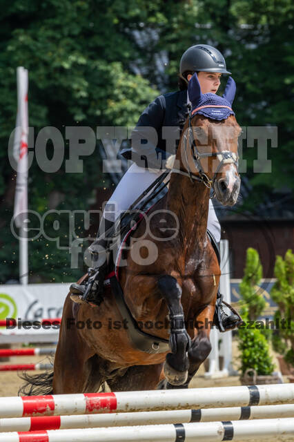 Goldene Schärpe 2021 - Ponys