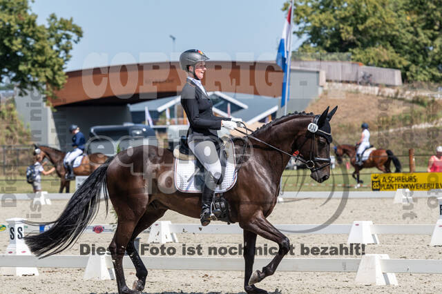 Kronenberg - De Peelbergen (August 2020)