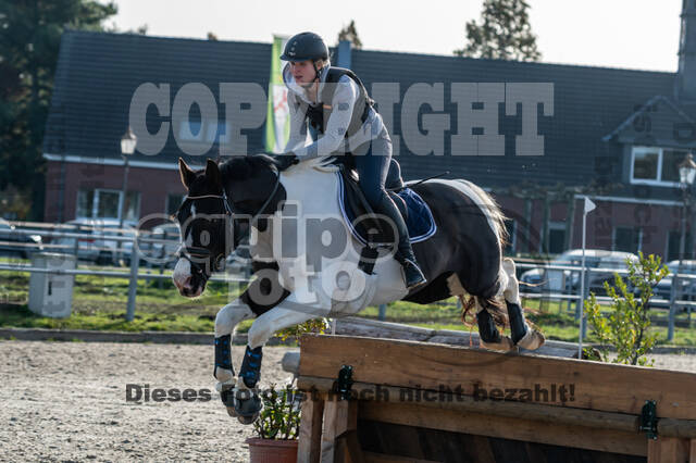 IGV Lehrgang der Sieger der Cups mit Frank Ostholt