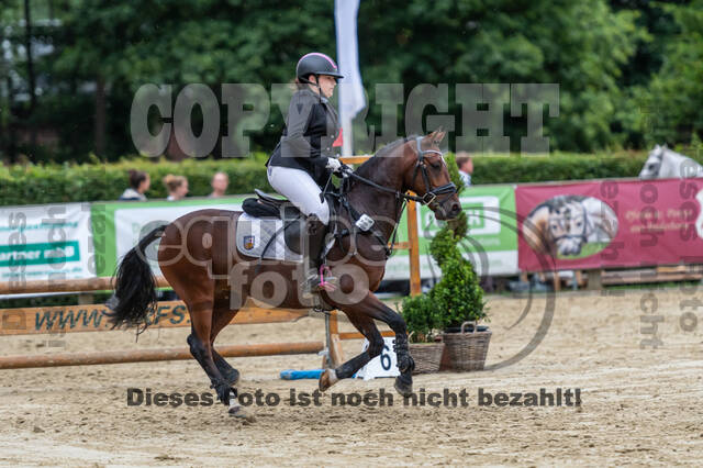 Goldene Schärpe 2021 - Ponys