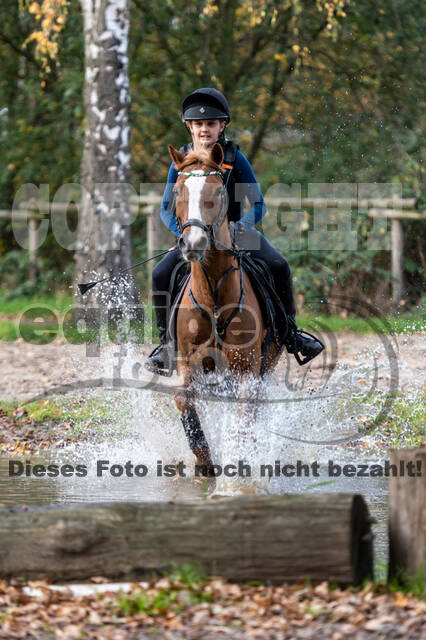 IGV Lehrgang der Sieger der Cups mit Frank Ostholt