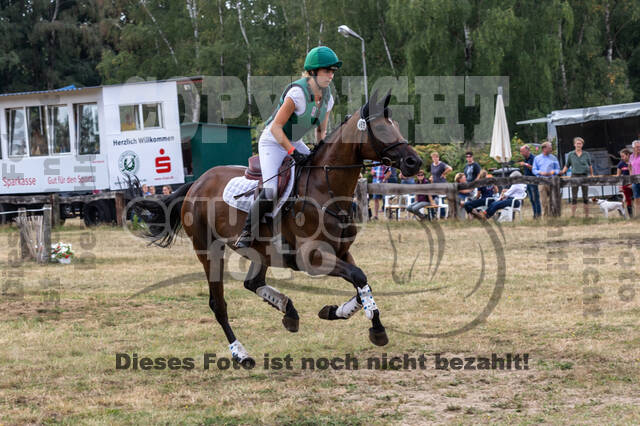 Late-Entry Vielseitigkeit Hamminkeln/Wesel (01.+02.08.2020)