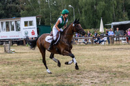 Late-Entry Vielseitigkeit Hamminkeln/Wesel (01.+02.08.2020)
