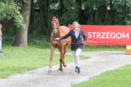 FEI European Championship Eventing 2017