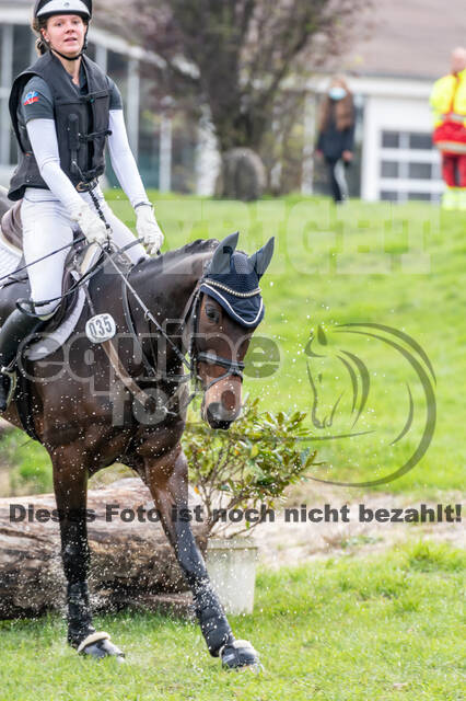 Goldene Schärpe 2020 - Pferde