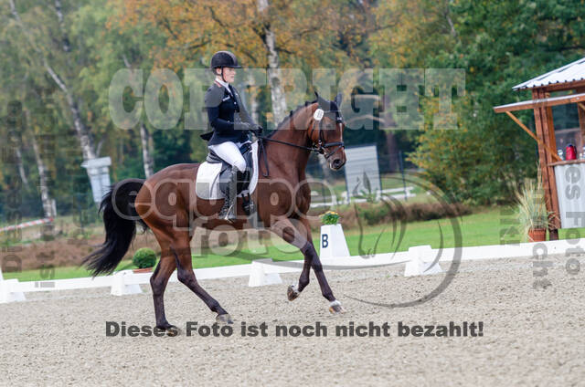 Deutsche Meisterschaft Vielseitigkeit (Luhmühlen)