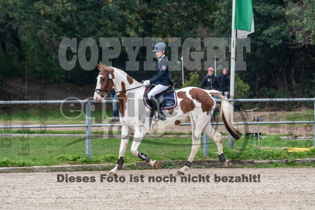 Goldene Schärpe 2020 - Pferde