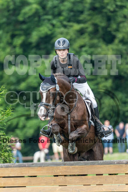 Goldene Schärpe 2021 - Ponys