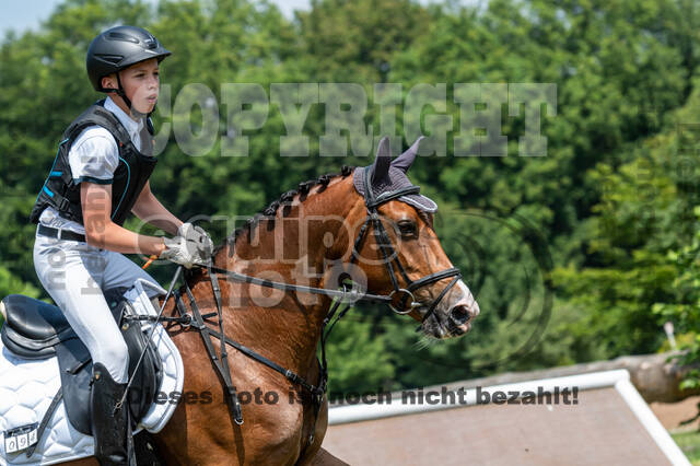 Goldene Schärpe 2021 - Ponys