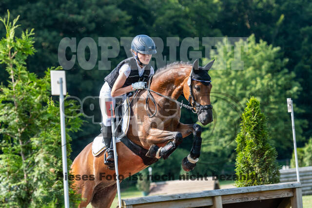 Goldene Schärpe 2021 - Ponys