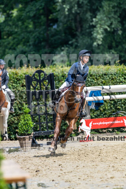 Goldene Schärpe 2021 - Ponys