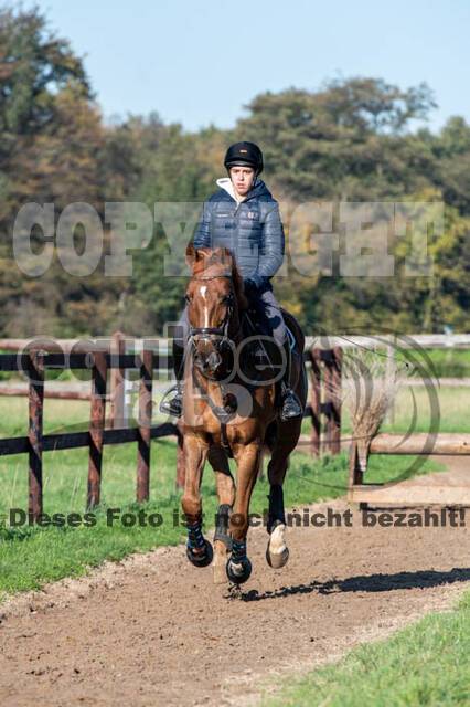 Vielseitigkeitslehrgang mit Jürg Kurbel (9.+10.11.2019)