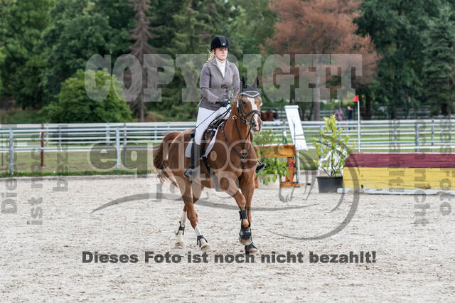 Late-Entry-Vielseitigkeit Langenfeld (06.+07.07.2020)