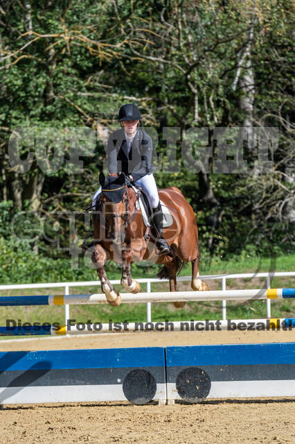 RFV Dinslaken-Hiesfeld (Herbstturnier)