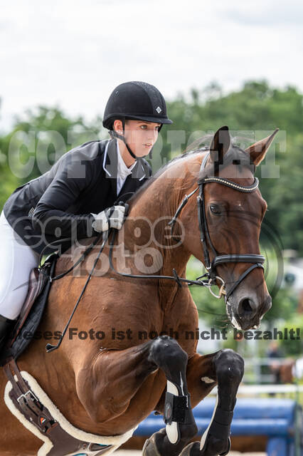 Late-Entry-Vielseitigkeit Langenfeld (06.+07.07.2020)