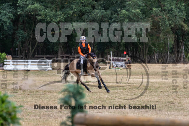 Late-Entry Vielseitigkeit Hamminkeln/Wesel (01.+02.08.2020)