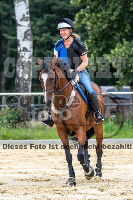 Hunter Geländetraining 10.07.2021 (Sonsbeck)