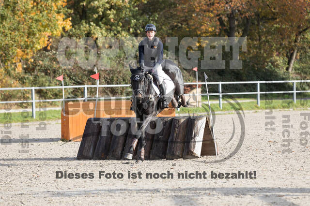 IGV Lehrgang der Sieger der Cups mit Frank Ostholt