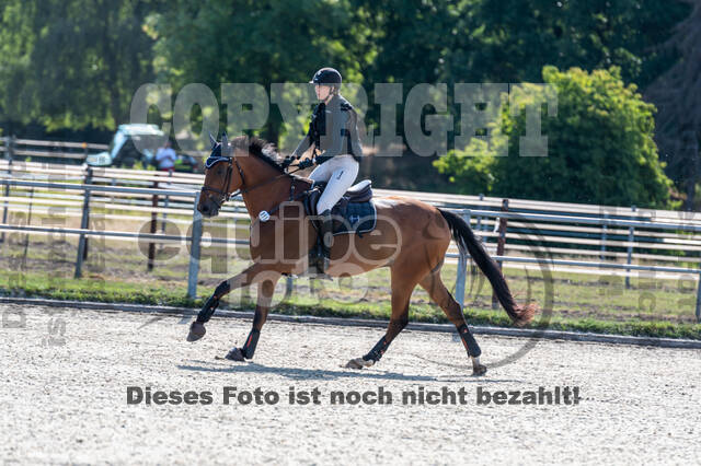 Late-Entry-Vielseitigkeit Langenfeld (11.+13./14.06.2020)