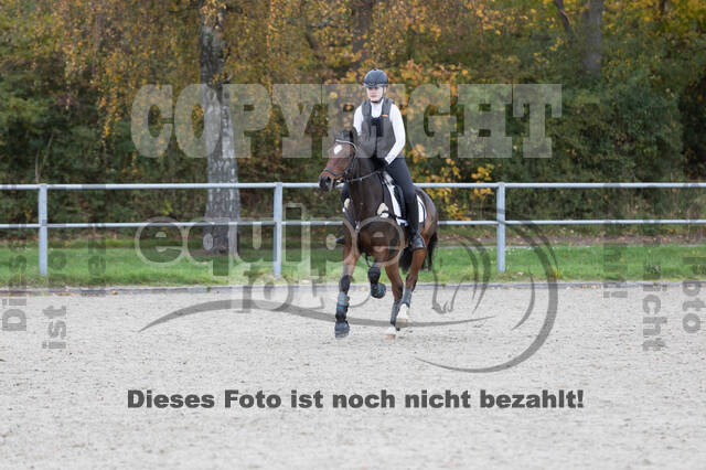 IGV Lehrgang der Sieger der Cups mit Frank Ostholt