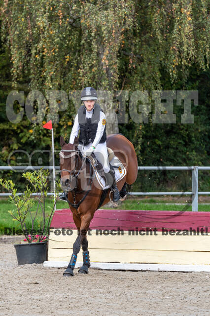 Goldene Schärpe 2020 - Pferde