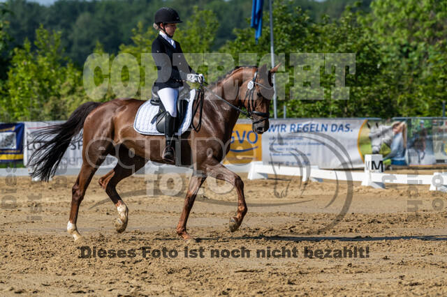 Westerstede Horse Trials 2021