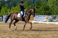 Westerstede Horse Trials 2021