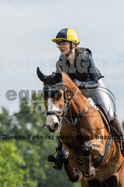 Goldene Schärpe 2021 - Ponys