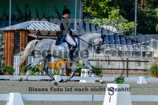 Deutsche Meisterschaft Vielseitigkeit (Luhmühlen)