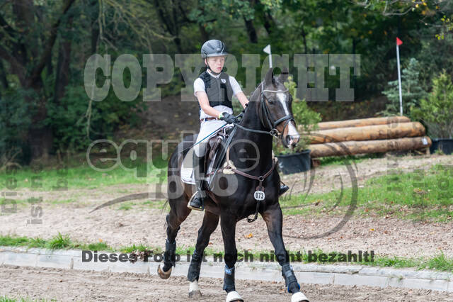 Goldene Schärpe 2020 - Pferde