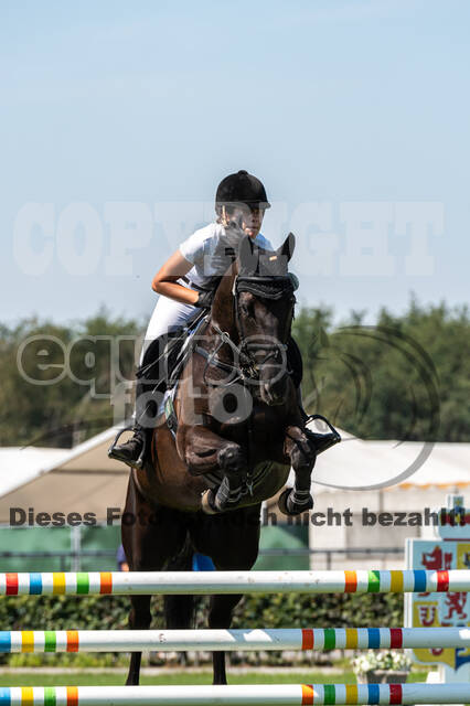 Kronenberg - De Peelbergen (August 2020)