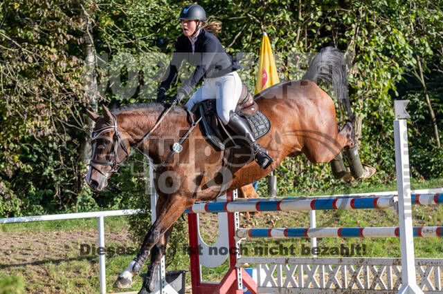 RFV Dinslaken-Hiesfeld (Herbstturnier)