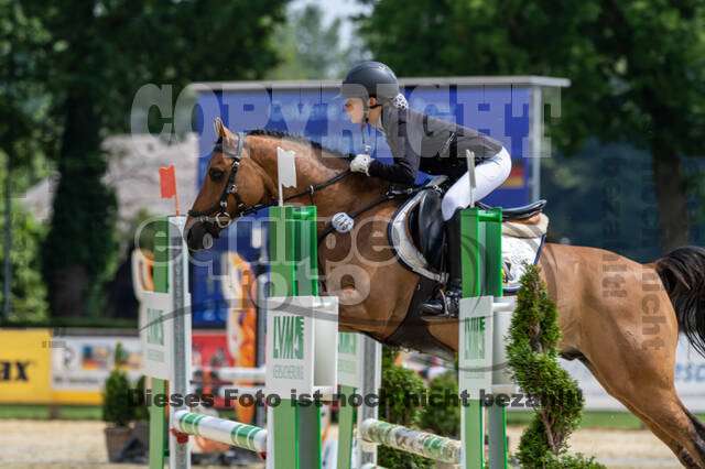Goldene Schärpe 2021 - Ponys