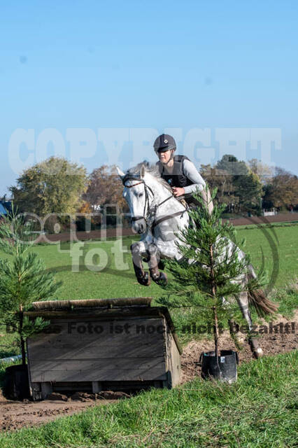 Vielseitigkeitslehrgang mit Jürg Kurbel (9.+10.11.2019)