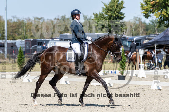 Kronenberg - De Peelbergen (August 2020)