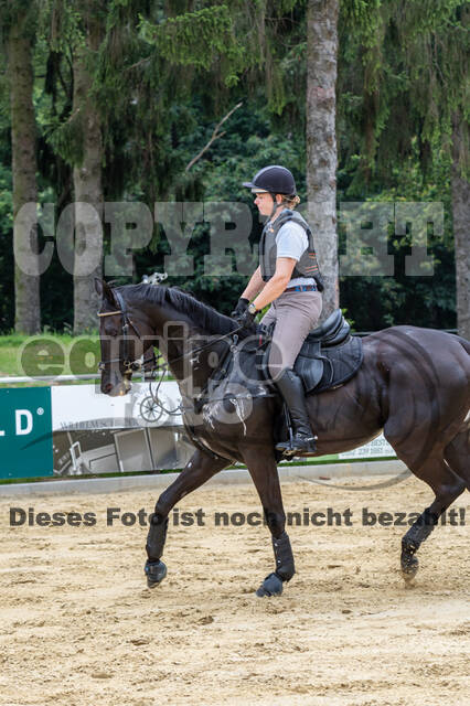 Hunter Geländetraining 10.07.2021 (Sonsbeck)